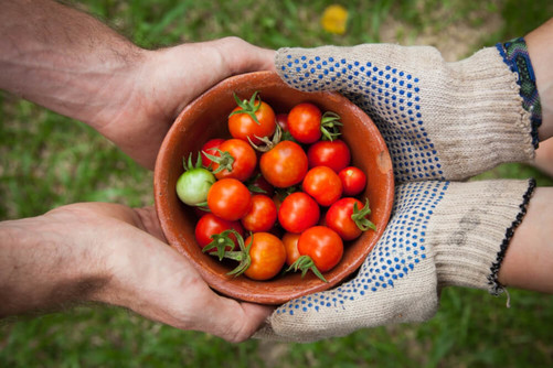 Habitudes de consommation